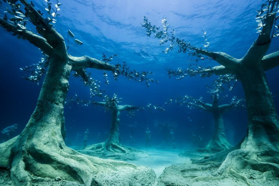 Nurkowanie na Cyprze: Ayia Napa i MUSAN | 13–20.02.2027